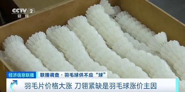 羽毛刀鱼苗饲料添加剂效果：羽毛刀鱼苗专用饲料配方 其他宠物 第4张