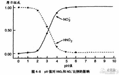 硝酸盐对鱼类影响研究：关于硝酸盐对鱼类的影响 其他宠物 第2张