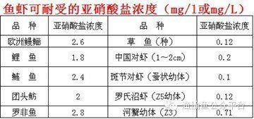 硝酸盐对鱼类影响研究：关于硝酸盐对鱼类的影响 其他宠物 第5张