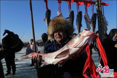 龙鱼鱼缸水温多少度合适养鱼：关于龙鱼水温的问题 水族问答 第1张