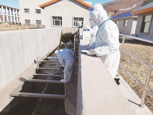 龙鱼越大吃得越少：大型龙鱼的摄食习惯 水族问答 第1张