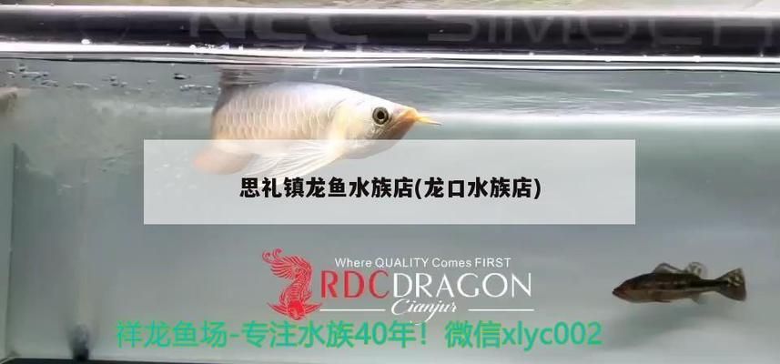 丽江龙鱼水族店：丽江龙鱼水族店的经营现状、管理问题以及未来发展策略 全国观赏鱼市场 第4张