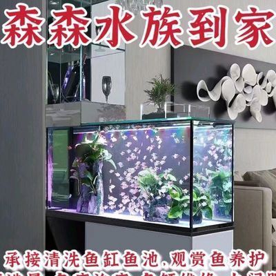 文山壮族苗族自治州龙鱼水族店：文山壮族苗族自治州龙鱼水族店定期举办主题活动 全国观赏鱼市场 第5张