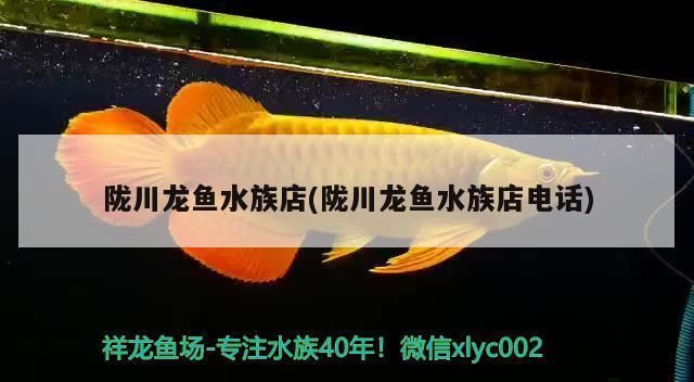 凉山彝族自治州龙鱼水族店：凉山彝族自治州水族馆龙鱼水族店特色服务分享 全国观赏鱼市场 第1张