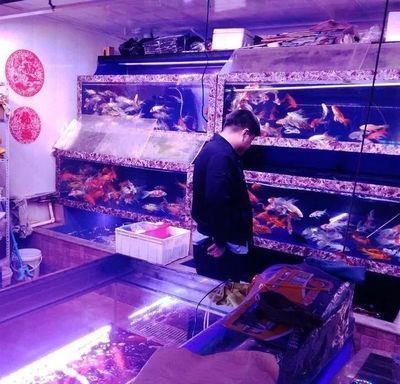 呼伦贝尔龙鱼水族店：内蒙古呼伦贝尔龙鱼水族店是位于内蒙古自治区呼伦贝尔市的一家水族店