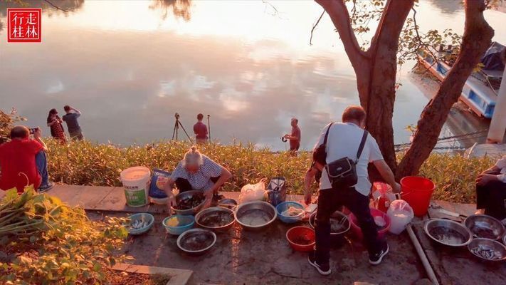 桂林观赏鱼市场：桂林观赏鱼市场价格趋势桂林观赏鱼品种介绍 全国观赏鱼市场 第4张