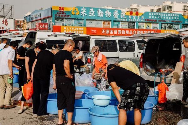 九江观赏鱼市场：九江观赏鱼市场价格 全国观赏鱼市场 第5张