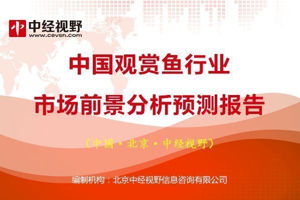 黄冈观赏鱼市场：黄冈观赏鱼市场价格 全国观赏鱼市场 第2张