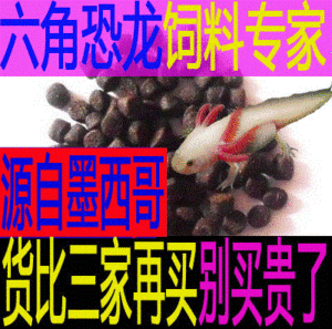 德克龙鱼缸设计特点：德克龙鱼缸材质选择,德克龙鱼缸内部布局,德克龙鱼缸照明方案 水族杂谈 第5张