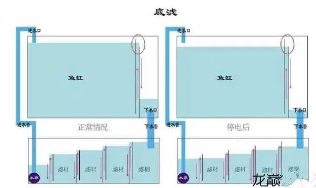 底滤系统过滤效果提升技巧：提升底滤系统过滤效果的一些技巧 水族杂谈 第4张