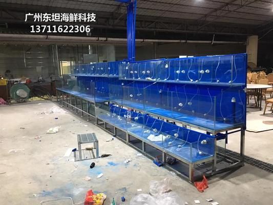 常平鱼缸专卖店营业时间：常平鱼缸专卖店 水族杂谈 第3张