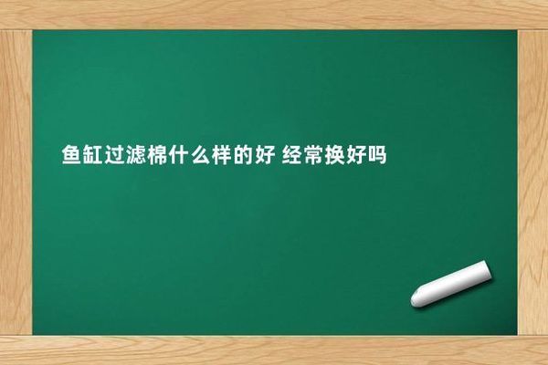 不同材质过滤棉优缺点：不同材质的过滤棉具有不同的优缺点 水族杂谈 第2张