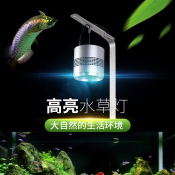 工匠时光鱼缸价格对比：工匠时光塑料小鱼缸价格对比 水族杂谈 第2张