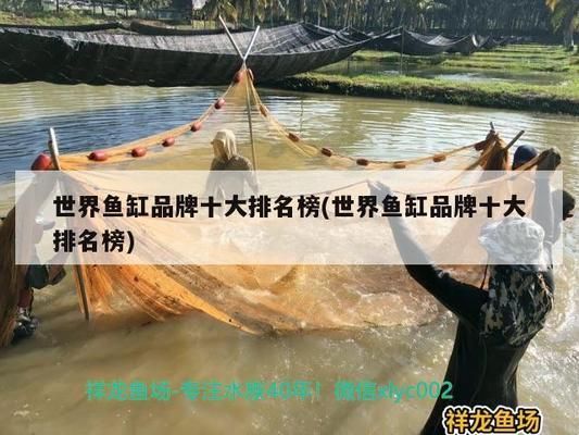 国外鱼缸品牌口碑对比：国外鱼缸品牌口碑对比分析 水族杂谈 第1张