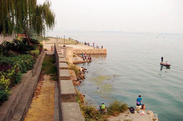 养雷龙鱼风水讲究：养雷龙鱼的注意事项 水族问答