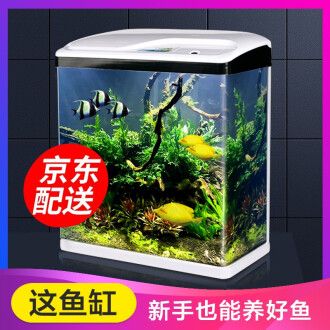 浮法玻璃鱼缸优缺点：浮法玻璃鱼缸优缺点分析 水族杂谈 第5张