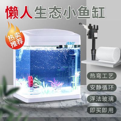 浮法玻璃鱼缸优缺点：浮法玻璃鱼缸优缺点分析 水族杂谈 第3张