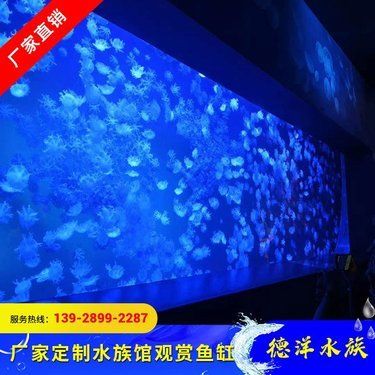 德洋水族定制鱼缸流程：德洋水族定制鱼缸具体流程 水族杂谈 第3张