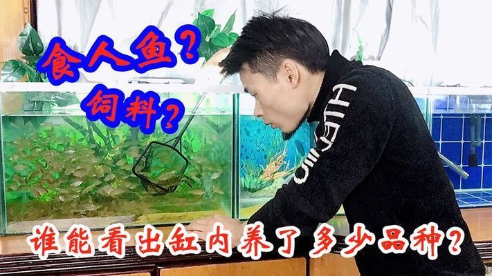 防止鱼缸生态失衡的方法：如何保持鱼缸生态系统稳定 水族杂谈 第2张