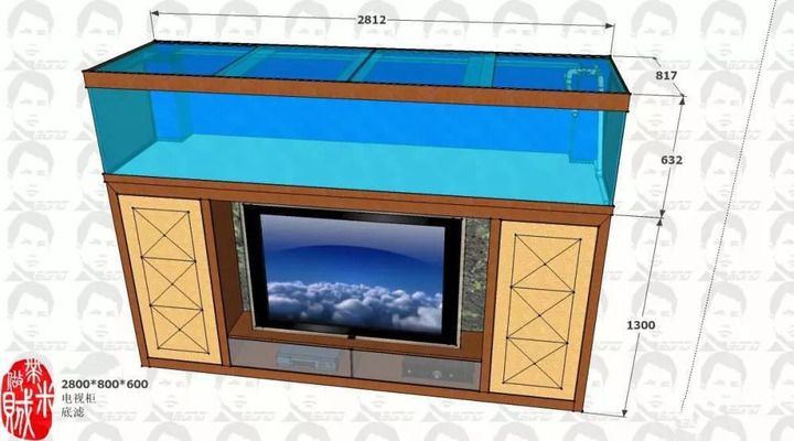 宠物鱼缸电视机功能介绍：宠物鱼缸电视机使用体验 水族杂谈 第3张