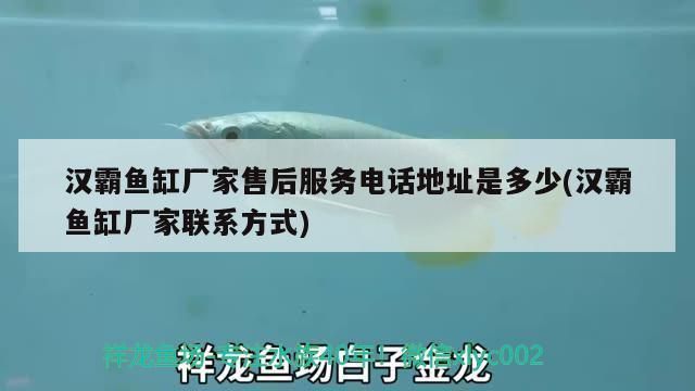 海霸鱼缸官方售后服务时间：海霸鱼缸产品保修期多久，如何联系海霸鱼缸客服 水族杂谈 第1张