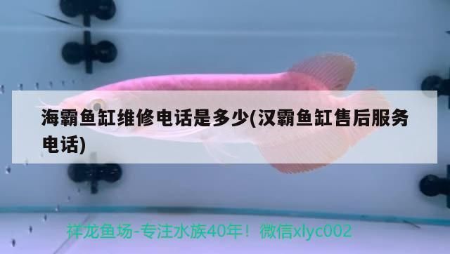 海霸鱼缸官方售后服务时间：海霸鱼缸产品保修期多久，如何联系海霸鱼缸客服 水族杂谈 第3张