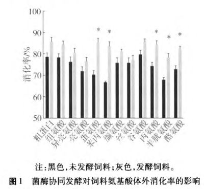 龙鱼缸要多大：如何选择一个适合的龙鱼缸？ 水族问答