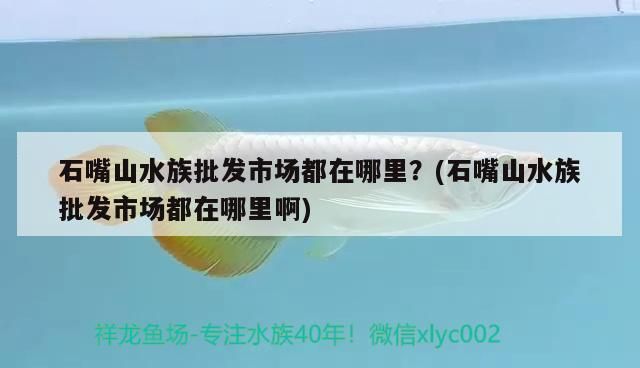 巴南哪里卖龙鱼：巴南地区有几个地方可以买到龙鱼，其市场价格相对昂贵 全国龙鱼店铺 第1张