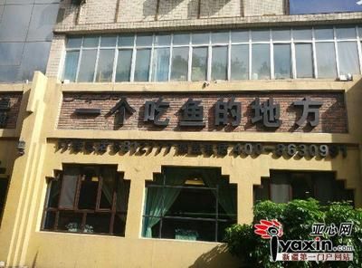 乌鲁木齐哪里卖龙鱼：乌鲁木齐观赏鱼店推荐, 全国龙鱼店铺 第5张