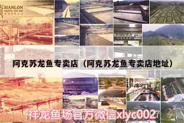 宜秀哪里卖龙鱼：南京宜秀区龙鱼批发市场 全国龙鱼店铺 第3张