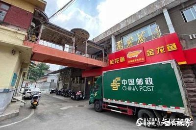 津南哪里卖龙鱼：在天津津南寻找销售龙鱼的渠道 全国龙鱼店铺 第3张