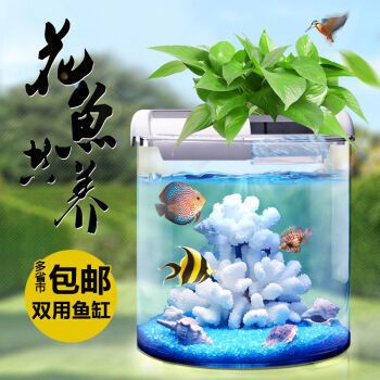 临夏县哪里卖龙鱼：临夏县宠物水族市场及观赏鱼市场及观赏鱼店推荐 全国龙鱼店铺 第2张