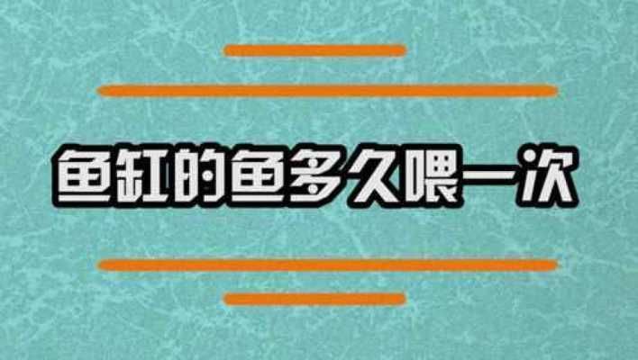 长安哪里卖龙鱼：西安龙鱼养殖技术分享,西安水族馆观赏鱼购买技术分享 全国龙鱼店铺 第1张