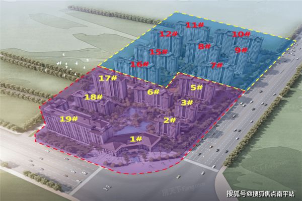 澄迈哪里卖龙鱼：如何在澄迈购买龙鱼 全国龙鱼店铺 第4张