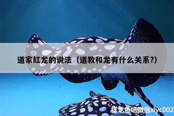 道家红龙的说法（道教和龙有什么关系?） 二氧化碳设备