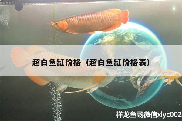 超白鱼缸价格（超白鱼缸价格表） 鹦鹉鱼