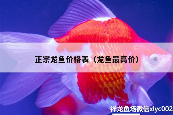 正宗龙鱼价格表（龙鱼最高价）