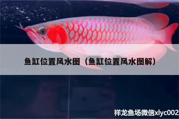 鱼缸位置风水图（鱼缸位置风水图解） 鱼缸风水