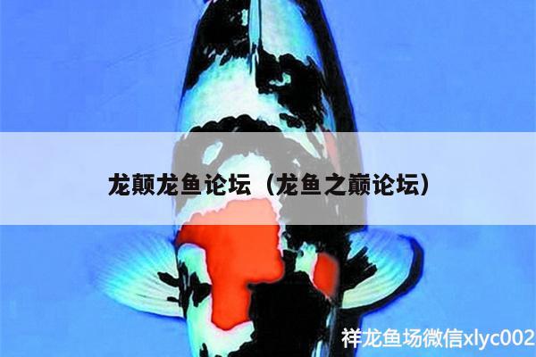 龙颠龙鱼论坛（龙鱼之巅论坛） 观赏龟/鳖饲料