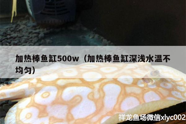 加热棒鱼缸500w（加热棒鱼缸深浅水温不均匀）