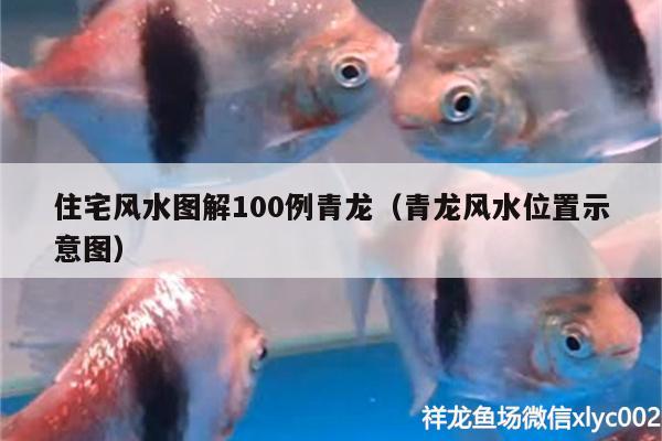 住宅风水图解100例青龙（青龙风水位置示意图） 鱼缸风水