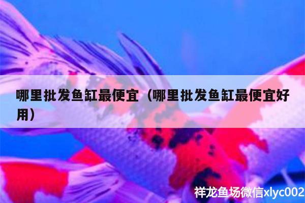 哪里批发鱼缸最便宜（哪里批发鱼缸最便宜好用） 祥龙水族护理水