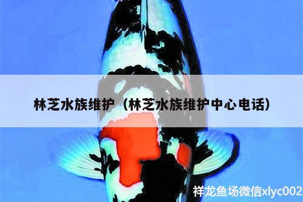 林芝水族维护（林芝水族维护中心电话）