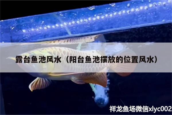 露台鱼池风水（阳台鱼池摆放的位置风水） 鱼缸风水