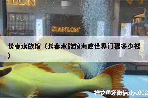 长春水族馆（长春水族馆海底世界门票多少钱） 鱼缸水质稳定剂