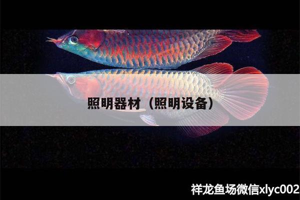 照明器材（照明设备） 照明器材 第1张