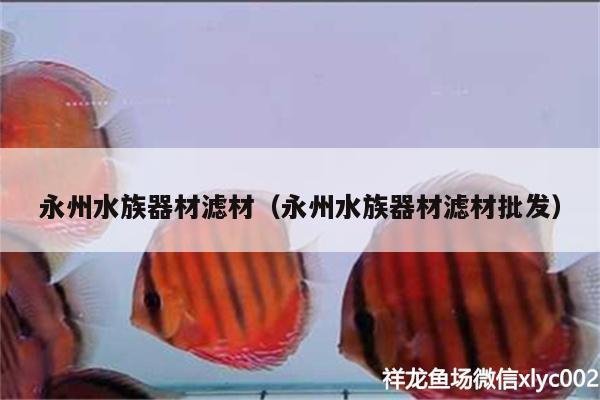 永州水族器材滤材（永州水族器材滤材批发）