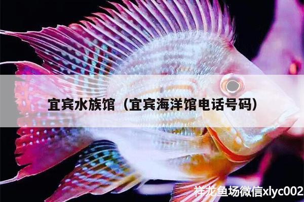 宜宾水族馆（宜宾海洋馆电话号码）