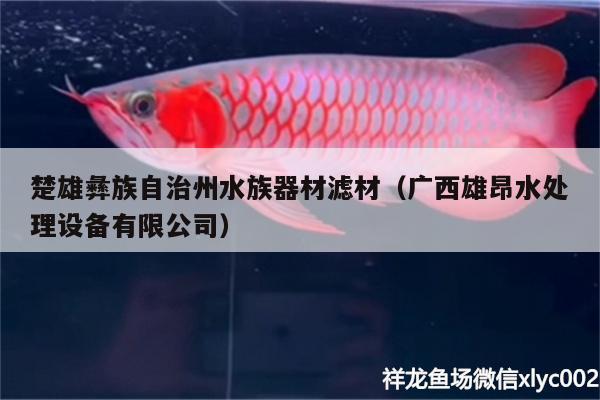 楚雄彝族自治州水族器材滤材（广西雄昂水处理设备有限公司） 野彩鱼