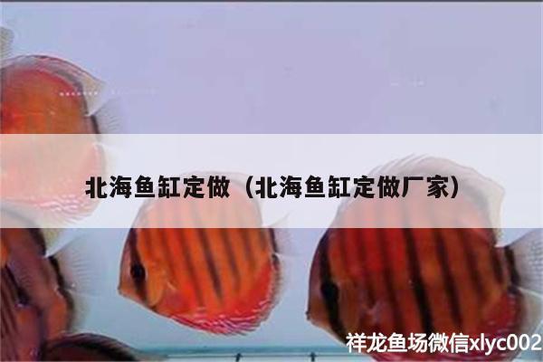 北海鱼缸定做（北海鱼缸定做厂家） 星点金龙鱼